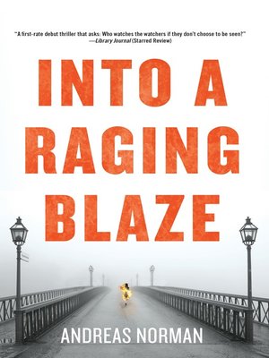 cover image of Into a Raging Blaze